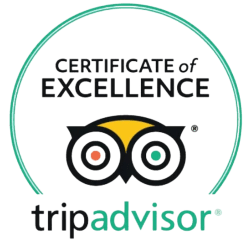 TripAdvisor Certificate of Excellence Badge